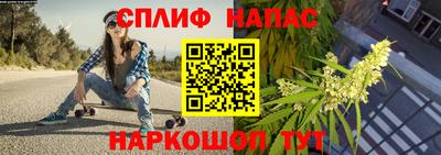 мяу мяу мука Тула