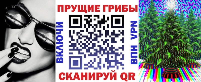 Псилоцибиновые грибы прущие грибы  Кинешма 