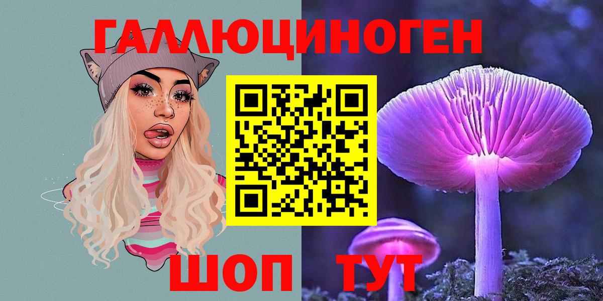 Кинешма  Псилоцибиновые грибы MAGIC MUSHROOMS  Галлюциногенные грибы GOLDEN TEACHER  Вход с VPN 