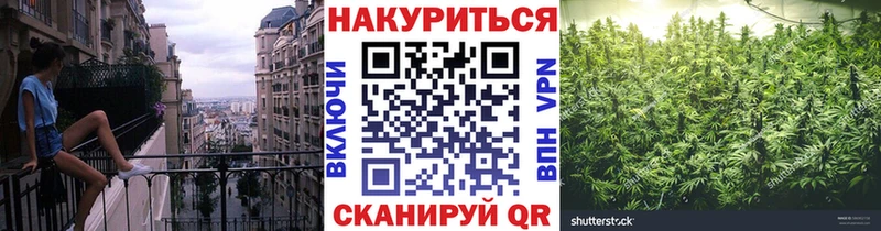 гидра tor  Кинешма  Бошки Шишки VHQ 
