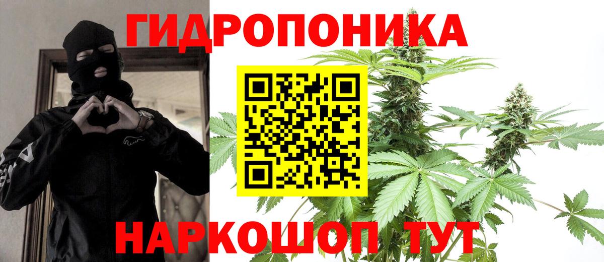 Кинешма  Бошки Шишки VHQ  Вход с VPN  Бошки Шишки Amnesia  Бошки марихуана конопля 